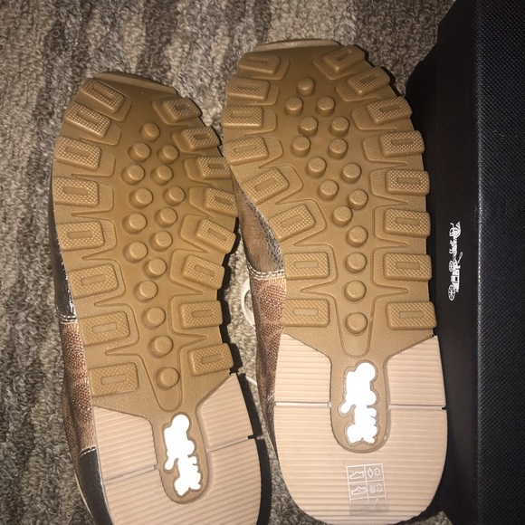 (SOLD) Coach sneakers - Picture 3 of 5